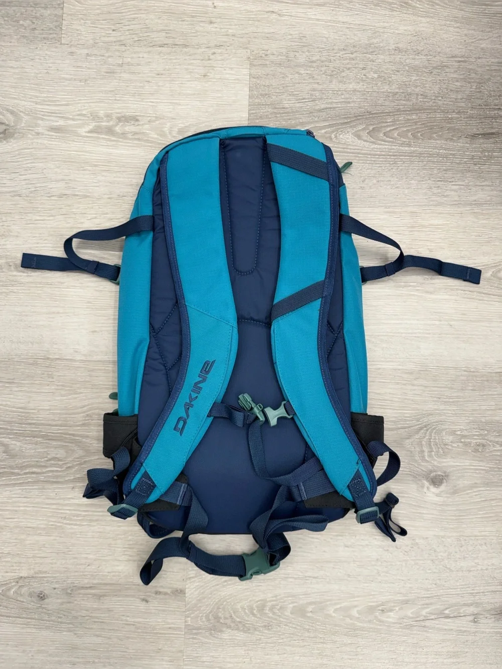 Dakine Heli Pro 20L Backpack Teal